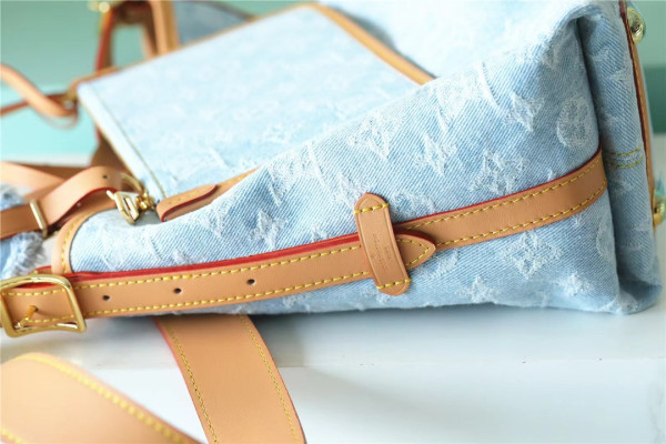 l0*is V*t0n carryall pm-29*24*12cm