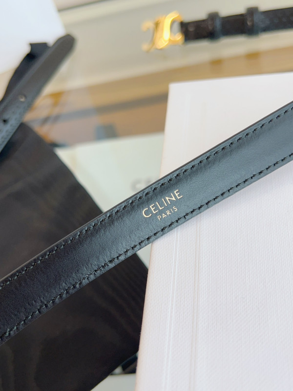 CELIN* BELT-GOLD/SILVER